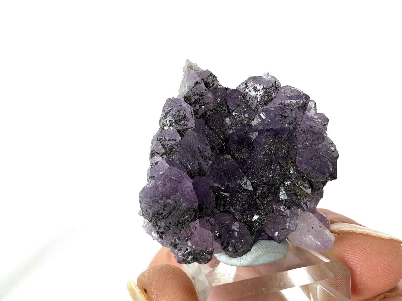 Natural view 3 of 9: Erongo Amethyst with dark mineral coatings and Pyrite
