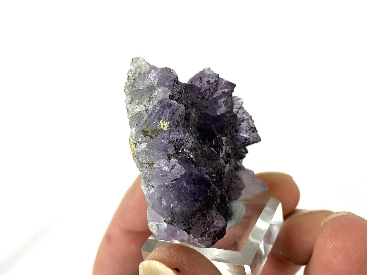 Natural view 4 of 9: Erongo Amethyst with dark mineral coatings and Pyrite