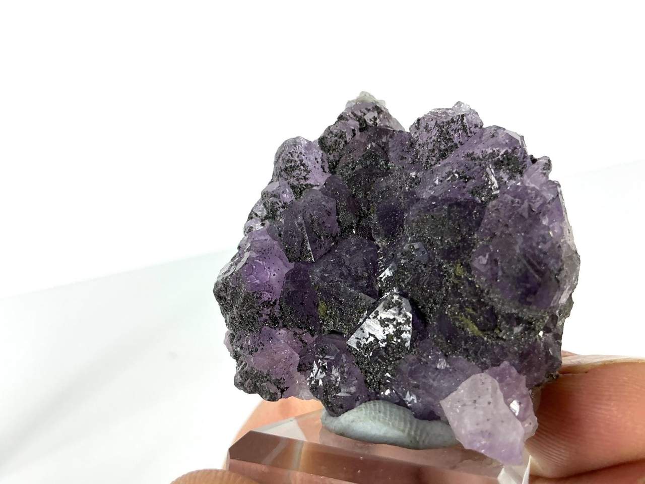 Natural view 5 of 9: Erongo Amethyst with dark mineral coatings and Pyrite