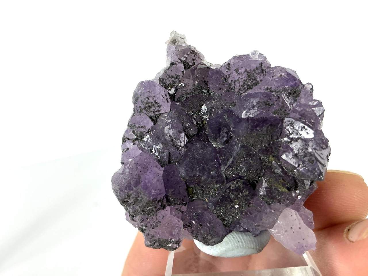 Natural view 6 of 9: Erongo Amethyst with dark mineral coatings and Pyrite