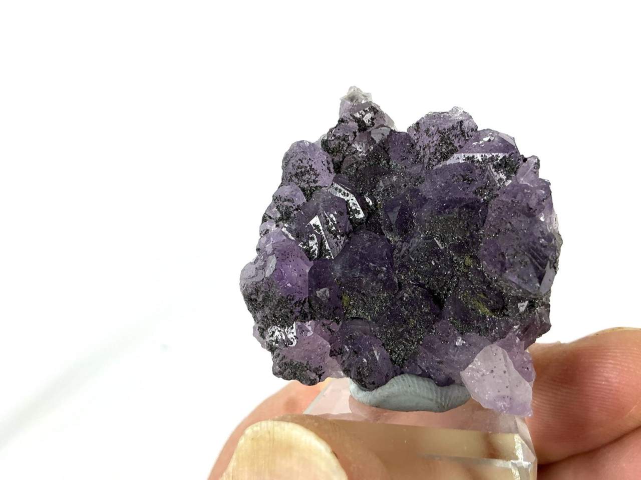 Natural view 8 of 9: Erongo Amethyst with dark mineral coatings and Pyrite