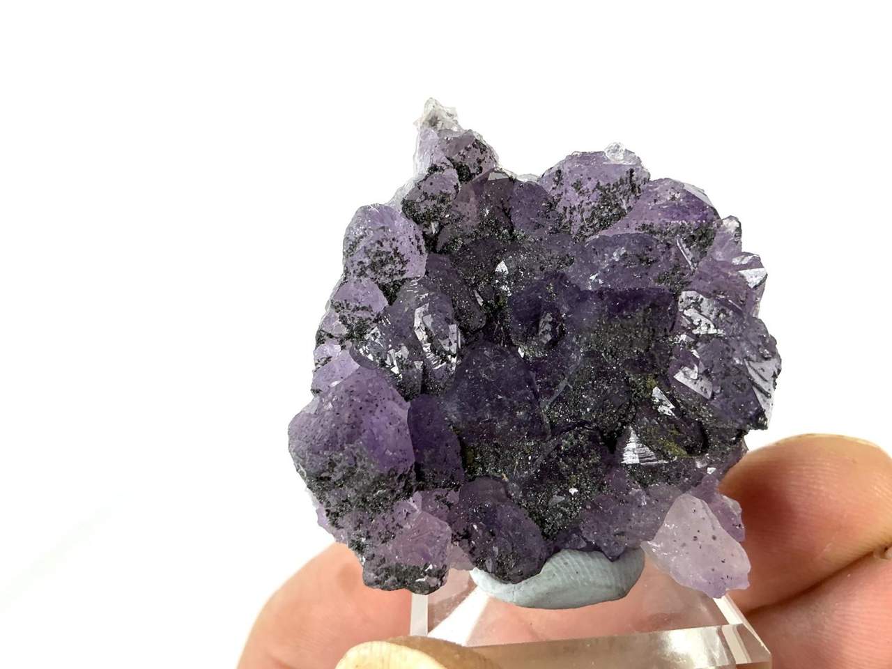 Natural view 9 of 9: Erongo Amethyst with dark mineral coatings and Pyrite