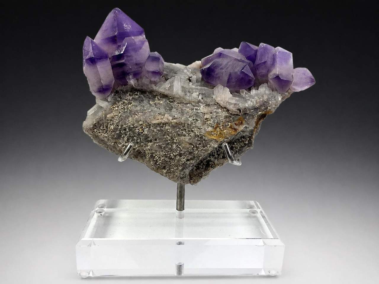 Exact 955 g Amethyst sceptre cluster with violet-zoned crystals on Quartz matrix, displayed on an acrylic stand
