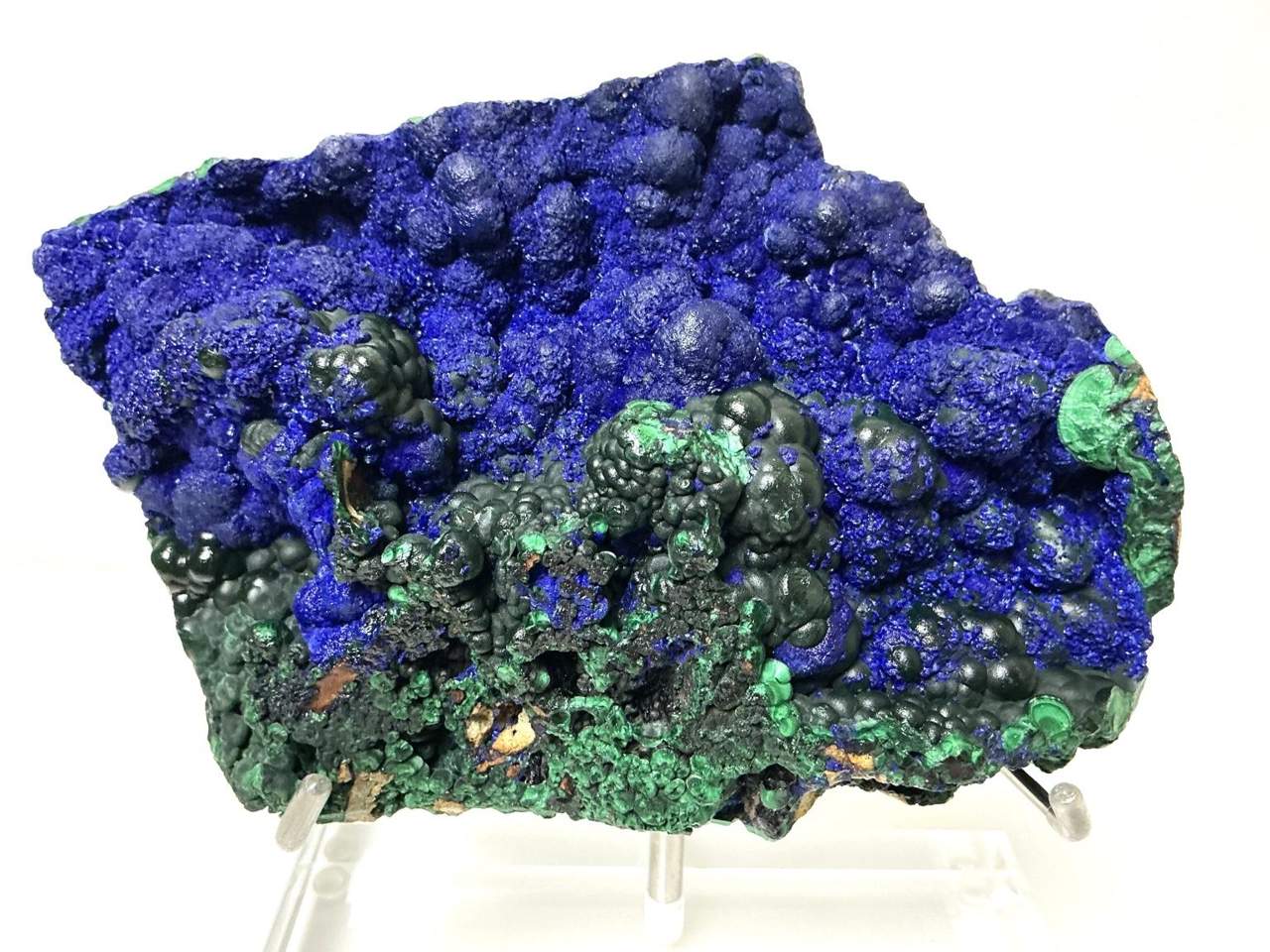 Deep blue Azurite with green Malachite on a display stand