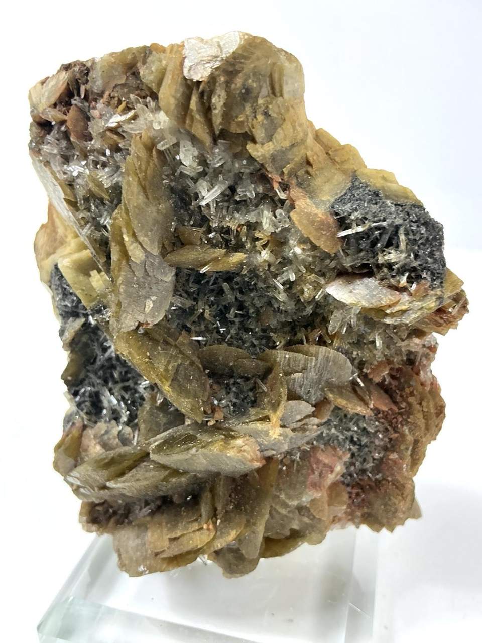 Olive-green to golden-brown Siderite blades with fine clear needle crystals