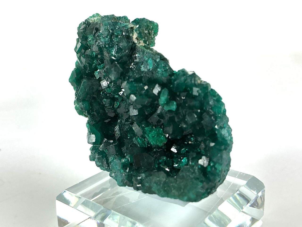 Dioptase crystal specimen, view 2 of 4