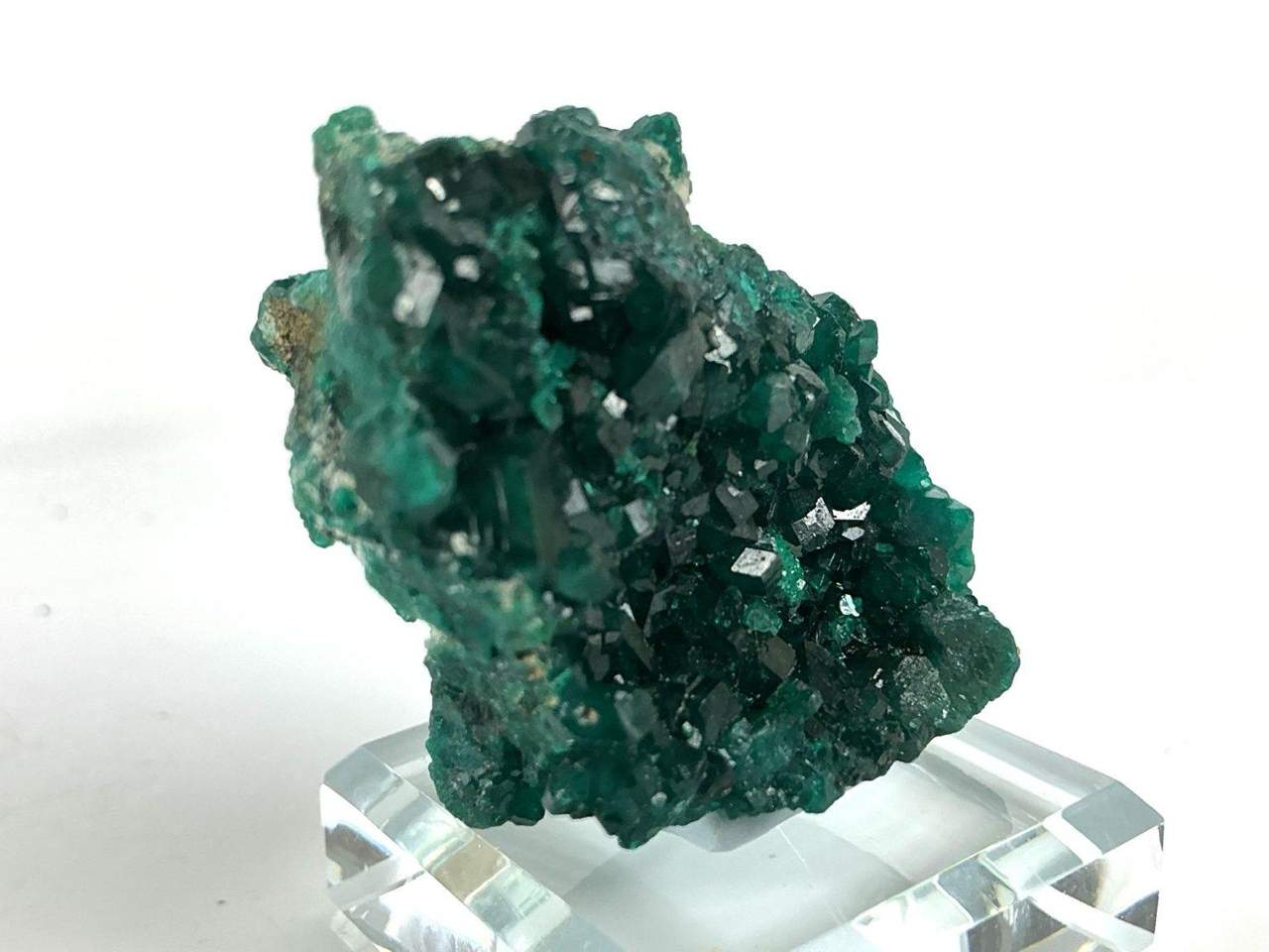 Dioptase crystal specimen, view 3 of 4