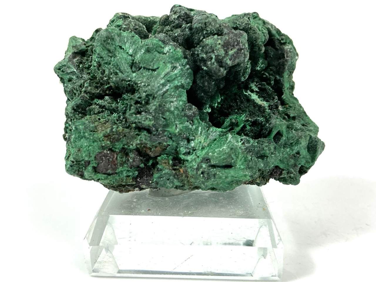 Botryoidal green Malachite on a display stand from Hubei, China