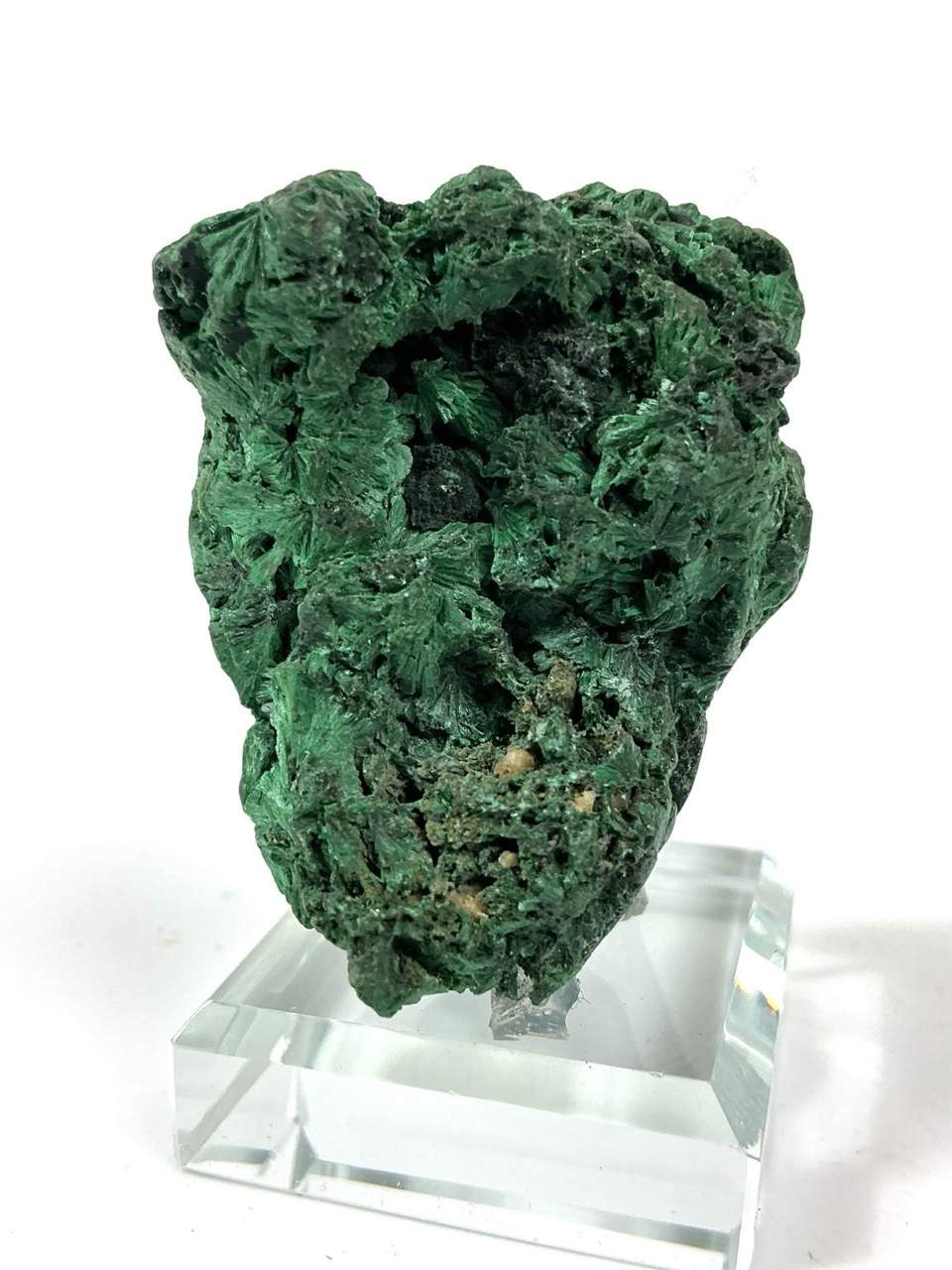 Botryoidal green Malachite on a display stand from Hubei, China