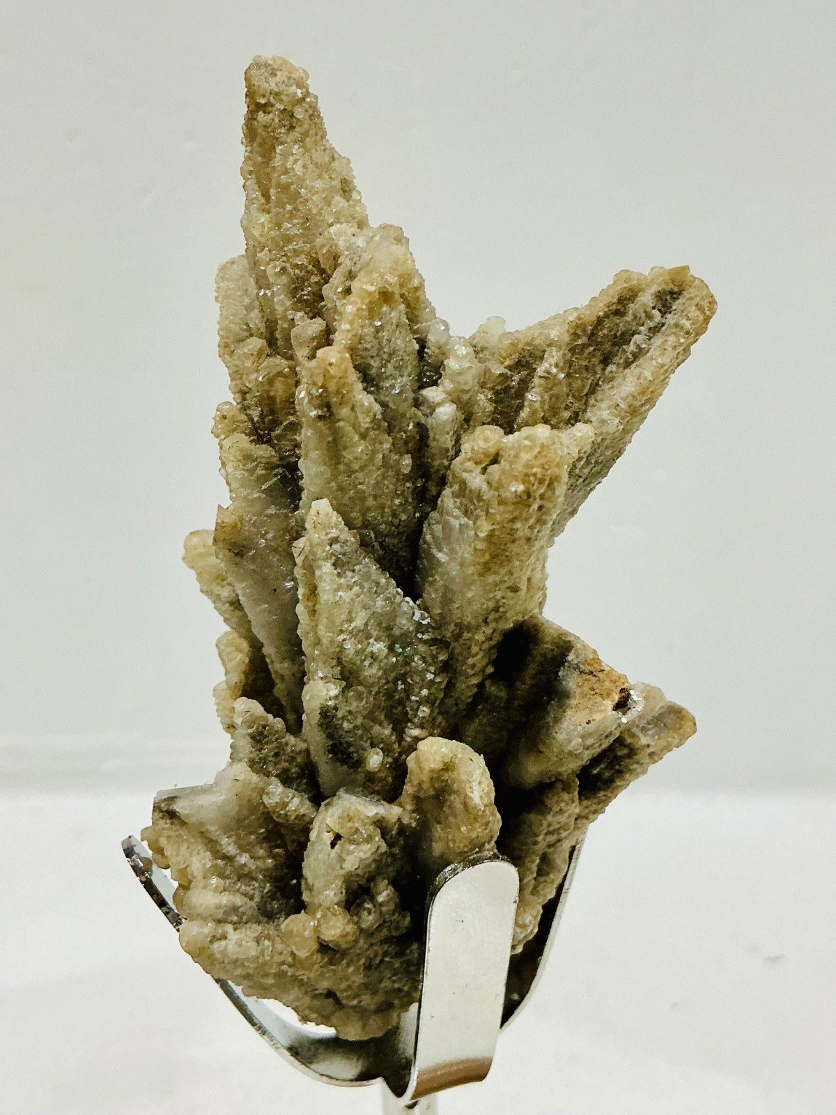 Calcite Formation Attributed after Aragonite — 98 g — view 3