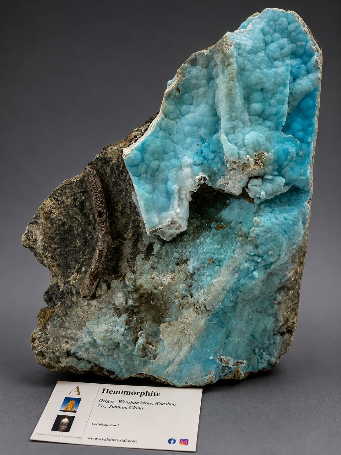 Blue Botryoidal Hemimorphite — Wenshan — 1.3 kg — view 2
