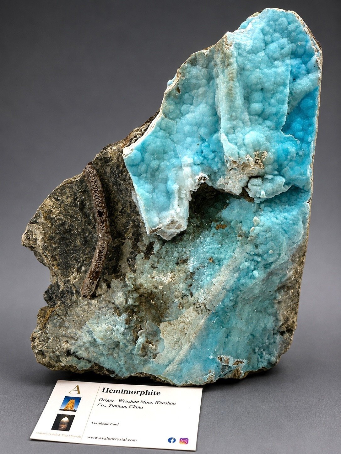 Blue Botryoidal Hemimorphite — Wenshan — 1.3 kg — view 5
