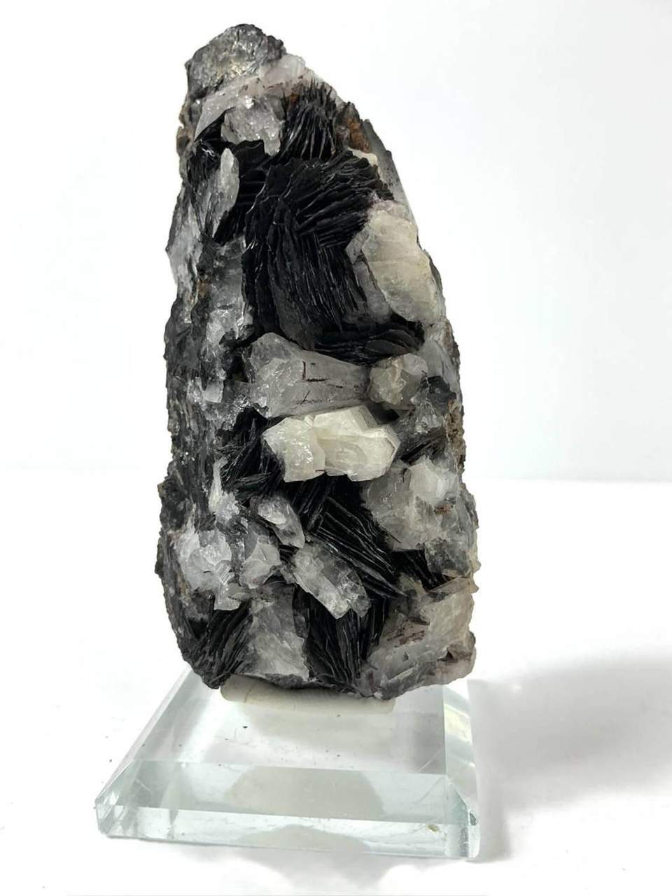 Upright black Specularite Hematite blades with pale Quartz crystals, front view