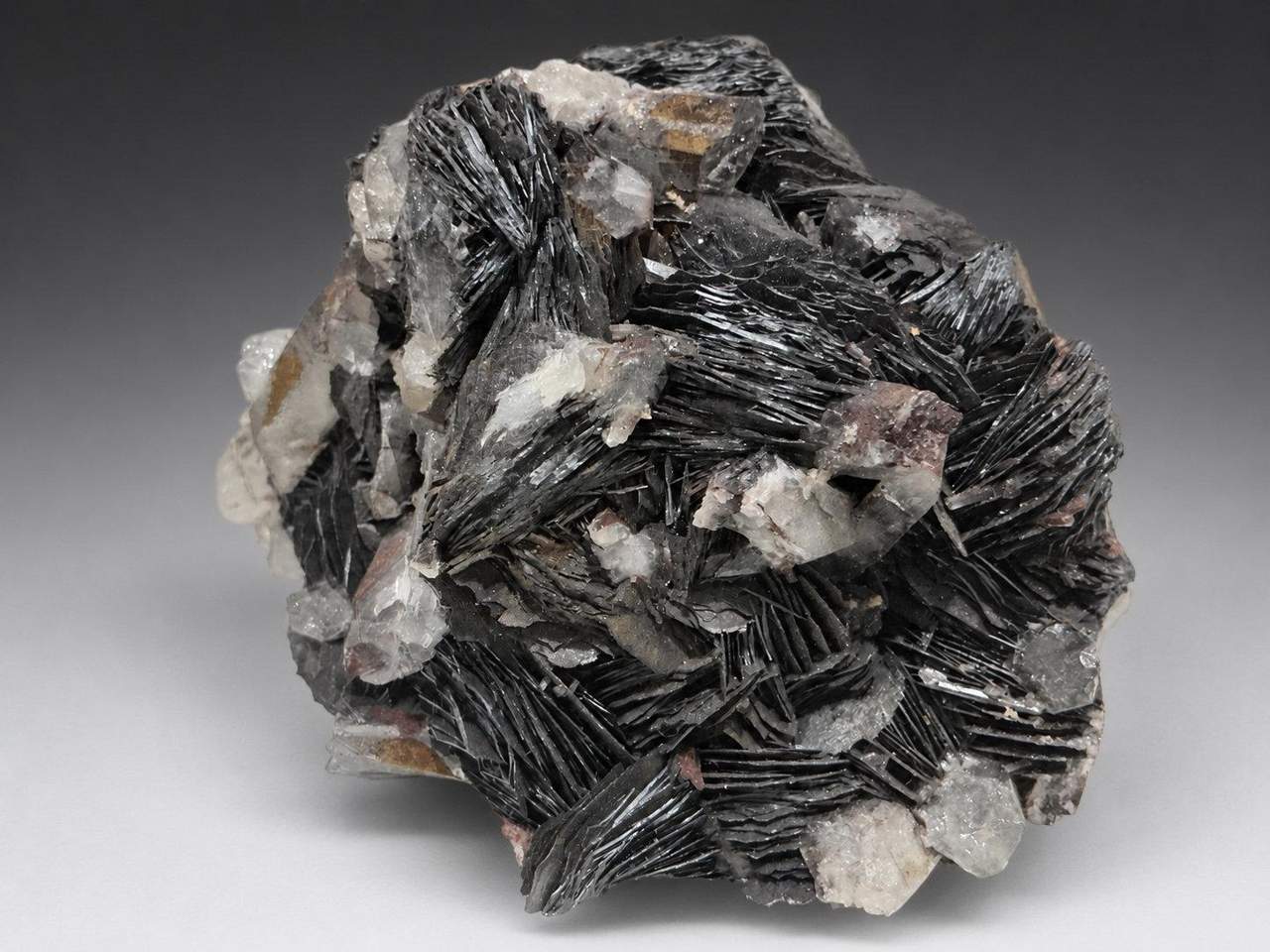 Specularite with Quartz, view 6 of 6