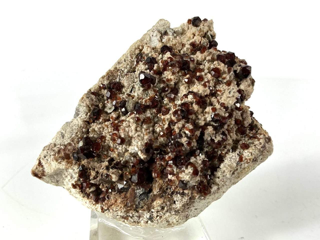 Spessartine Garnet specimen photographed for Avalon Crystals and Minerals