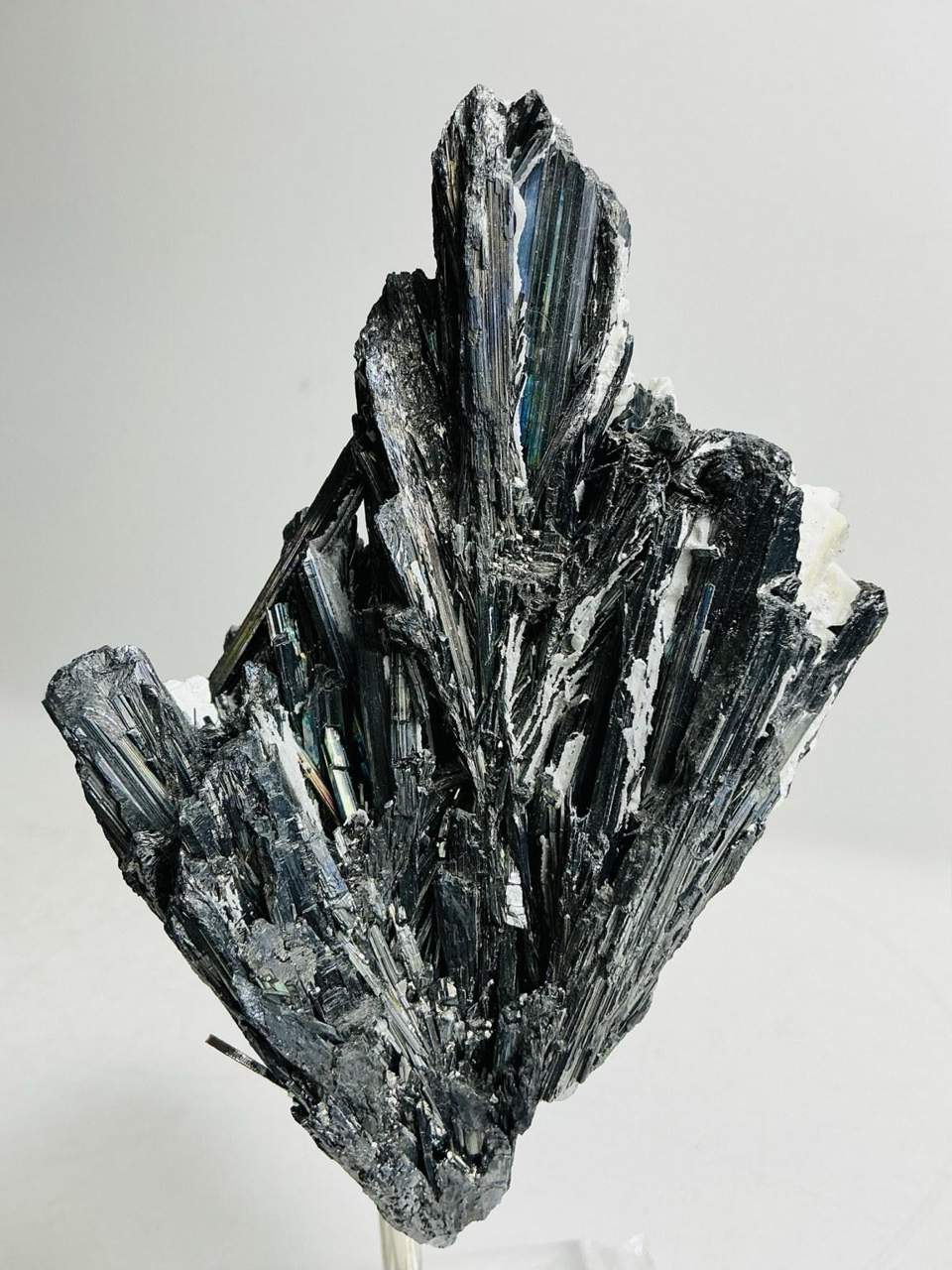 Metallic Stibnite crystal blades with Dolomite