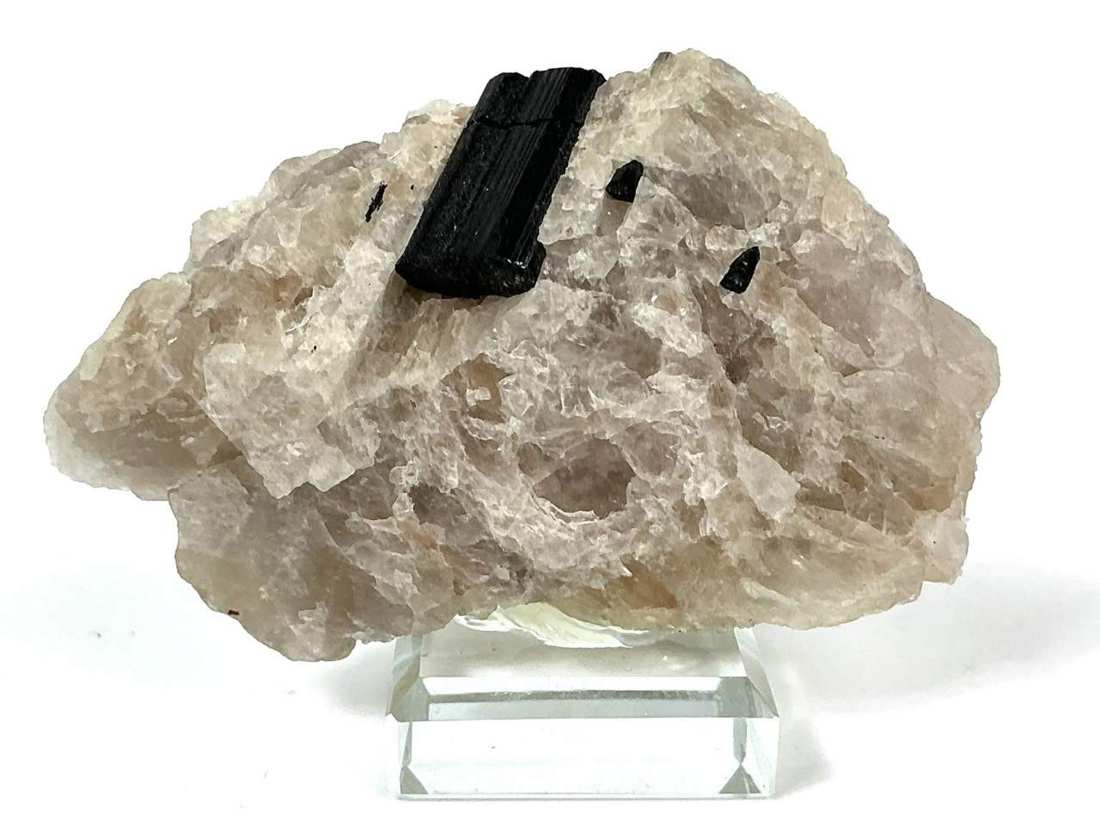 Tourmaline in Quartz · 99 g from Karibib, Erongo, Namibia, Africa